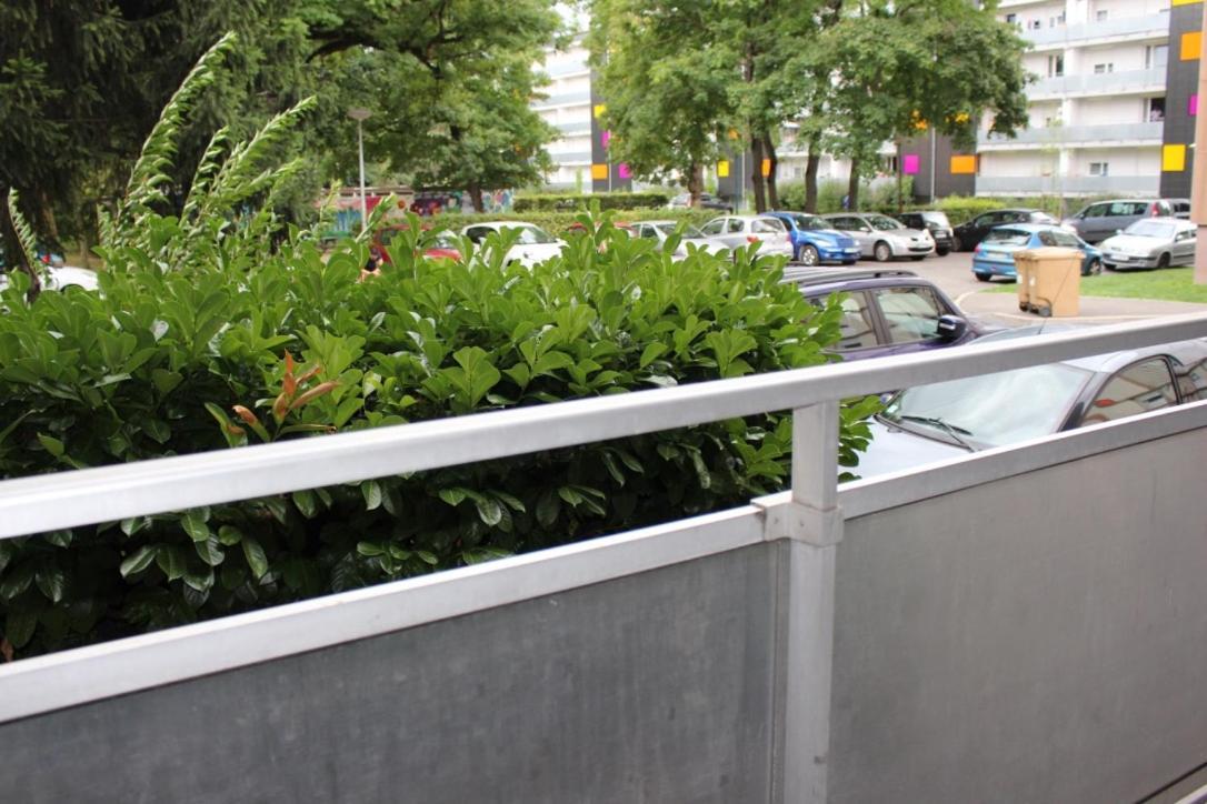 Studios Lora Rm 860 Saint-Louis (Haut-Rhin) Exterior foto