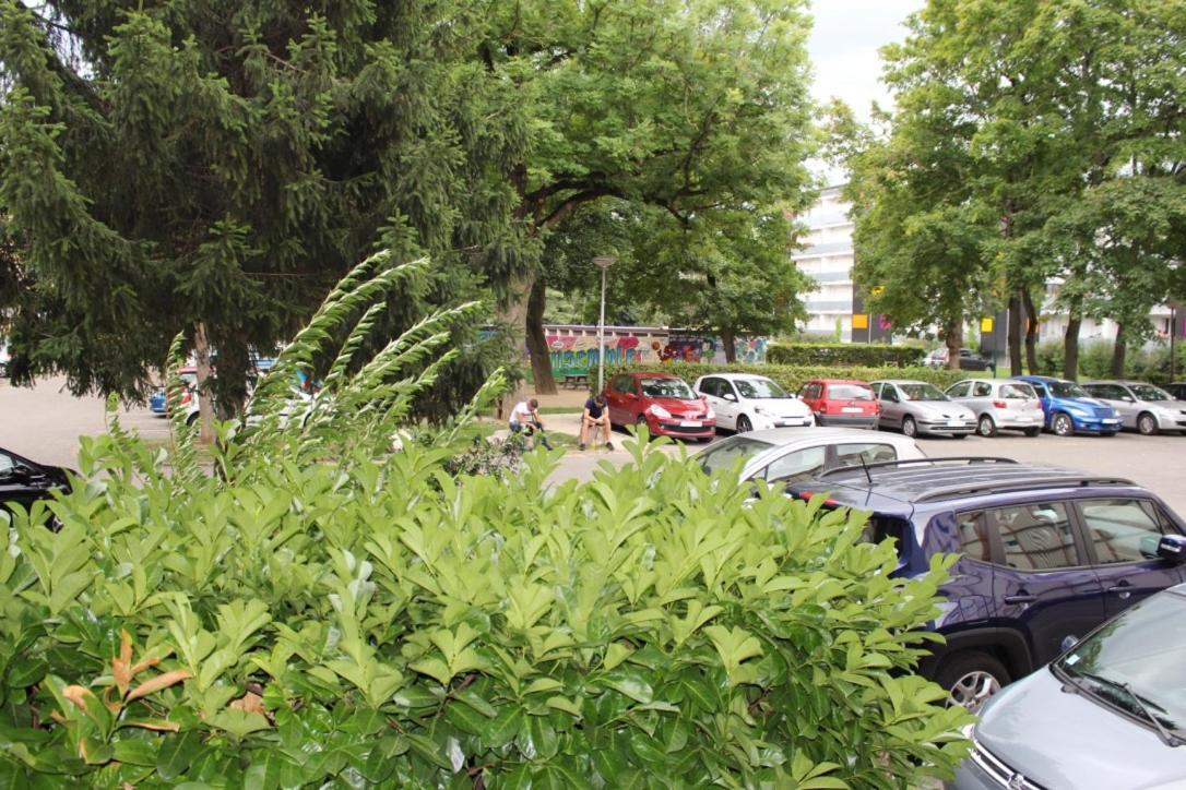 Studios Lora Rm 860 Saint-Louis (Haut-Rhin) Exterior foto